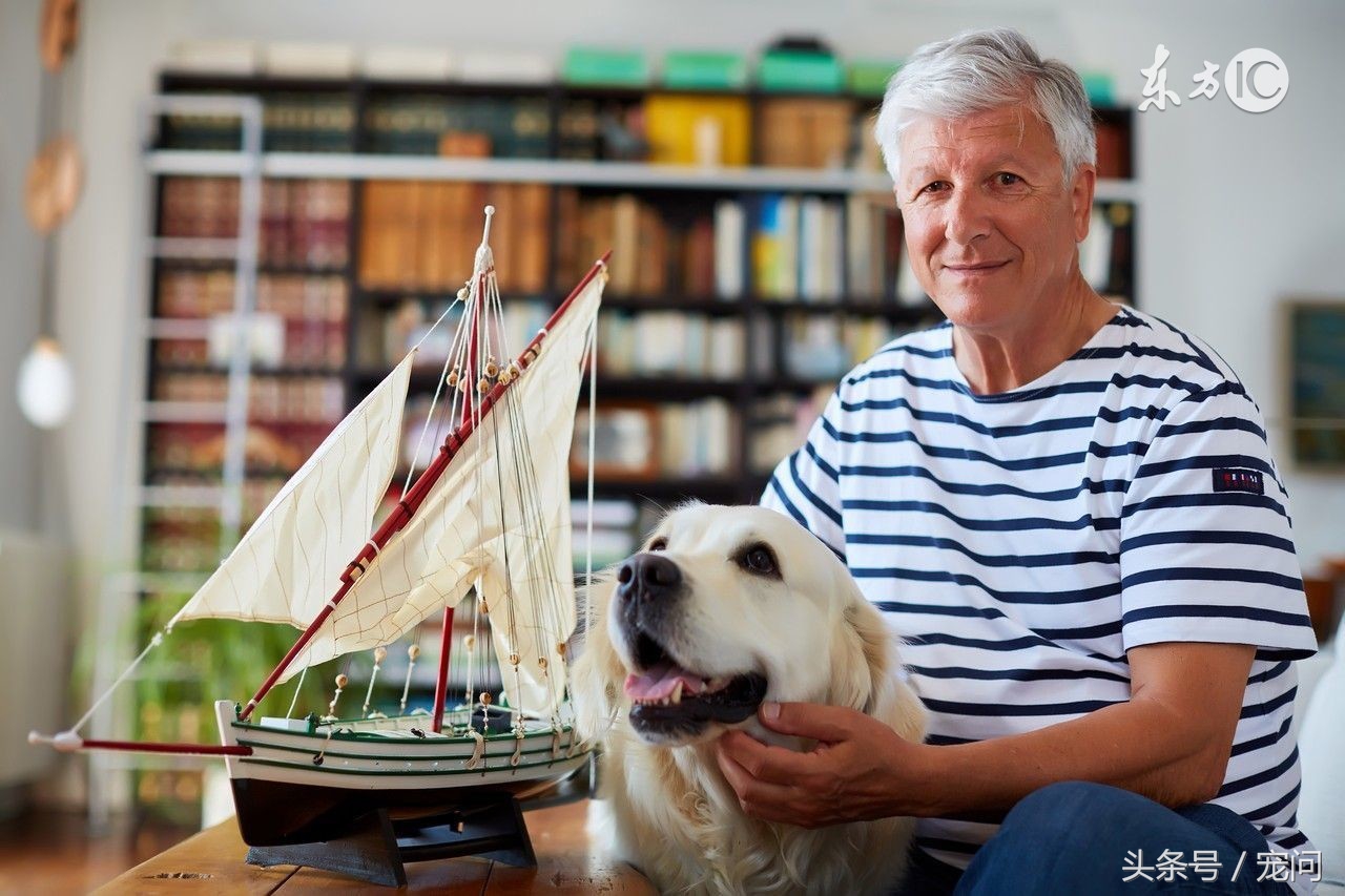 狗粮是怎么研发的,狗粮是怎么制成饲料的