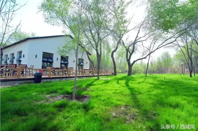 都说台湾民宿有特色，现在，昌吉也有了这样的好地方，它的名字叫芸农庄