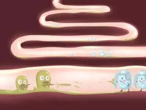 剖腹产宝宝补益生菌,剖腹产后出现大肠杆菌是怎么回事