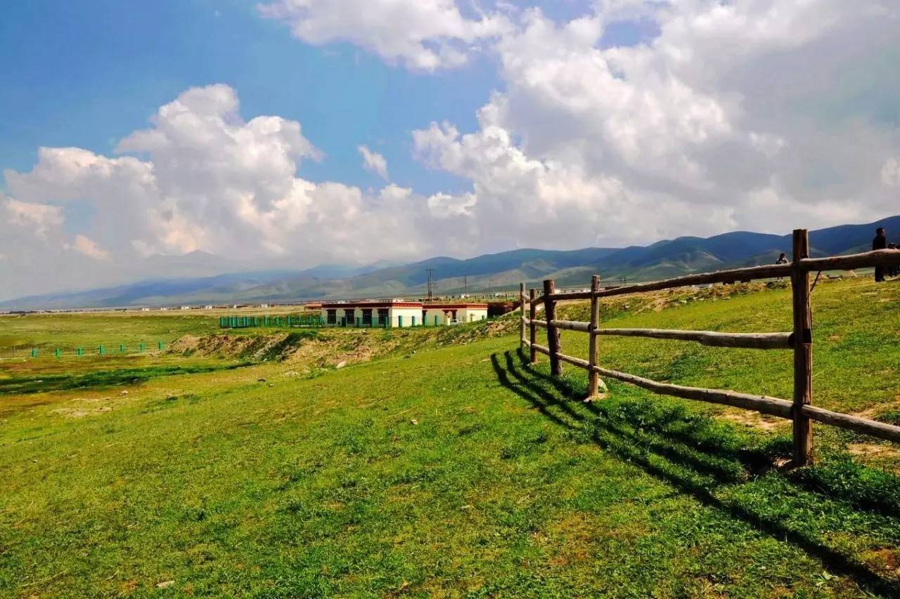 环青海湖大环线自驾游全攻略,青海湖环湖自驾哪里离青海湖最近