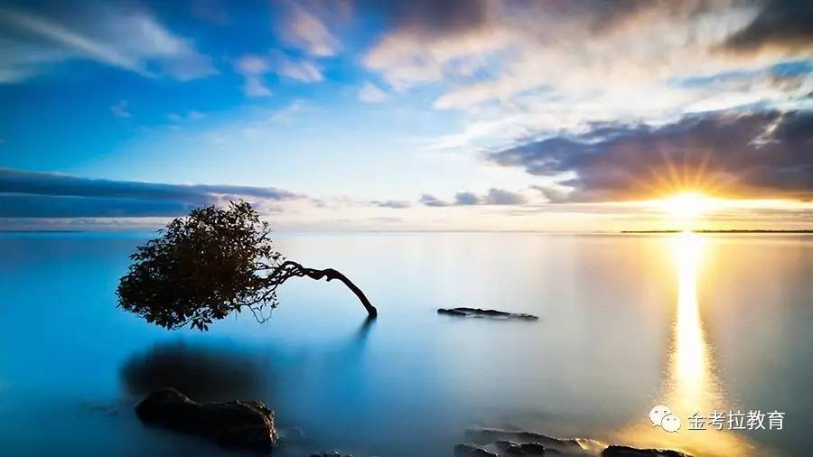 金融人的心理问题,金融心理学个人感悟