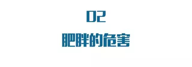 如果想变瘦的话该怎么吃,要怎么吃才会变瘦
