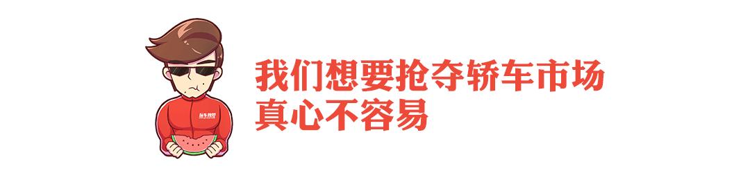 国产轿车一定不如德系车吗,10万级别国产汽车到底能不能买