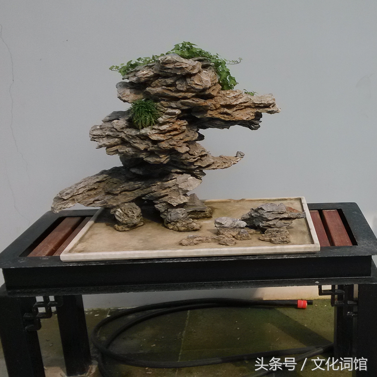 向上社交怎么克服恐惧,克服自卑和社交恐惧