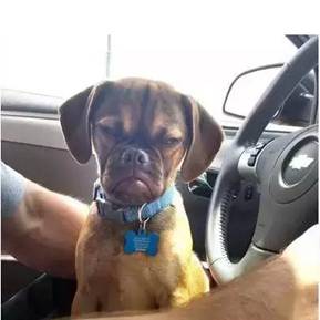 网红：月入千万不是传说