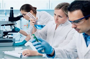 职场高薪的背后,揭开职场薪资的十大秘密