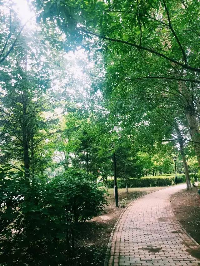 沈阳体育学院破茧,沈阳体育学院原址