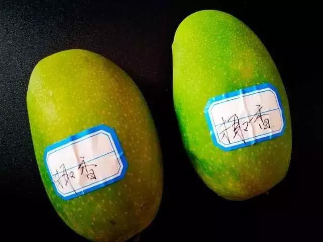 蔷薇水果店~“品控达人”的福音!