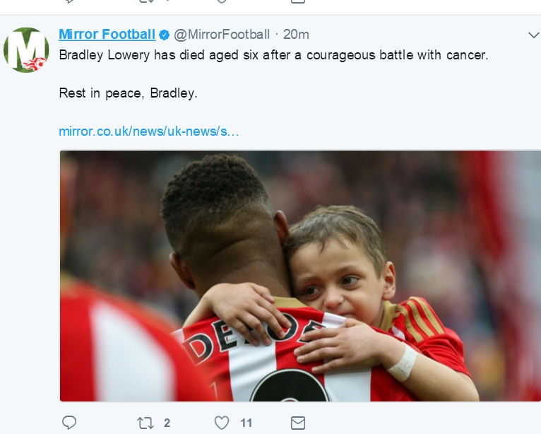 小布拉德利最后的话,小布拉德利视频