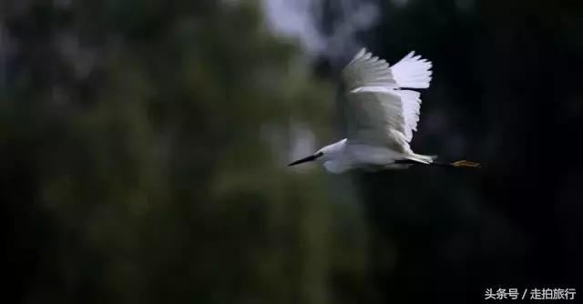 滁州有哪些地方可以下班去逛逛,滁州十大必去景点推荐