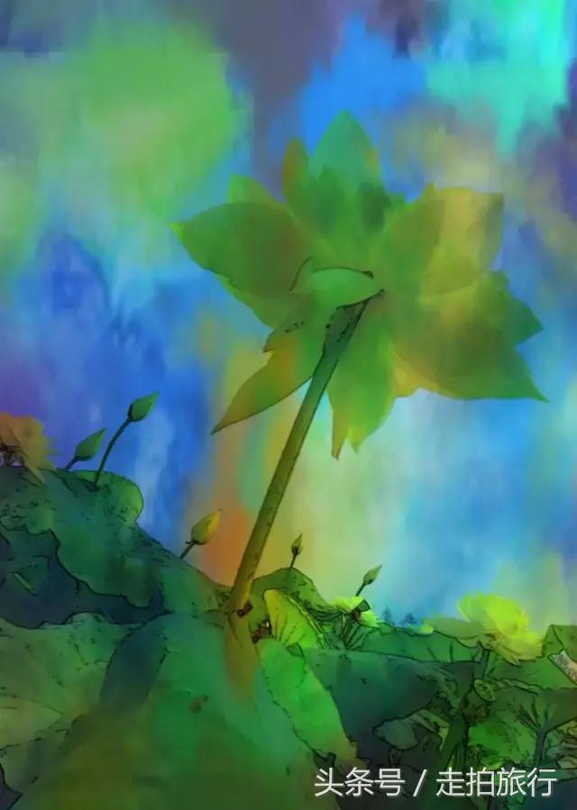 滁州有哪些地方可以下班去逛逛,滁州十大必去景点推荐