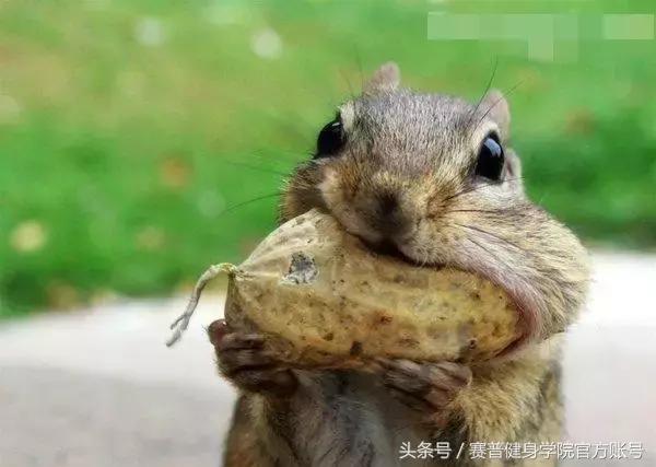 吃增肌粉真的有用吗,吃增肌粉有什么作用