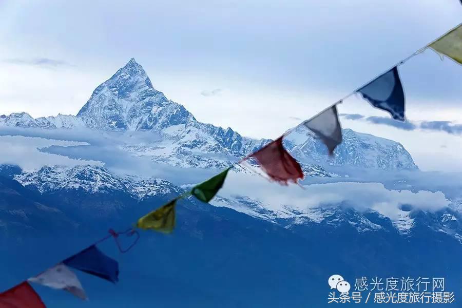 尼泊尔国歌唯一百花盛开的国度,尼泊尔百花图片