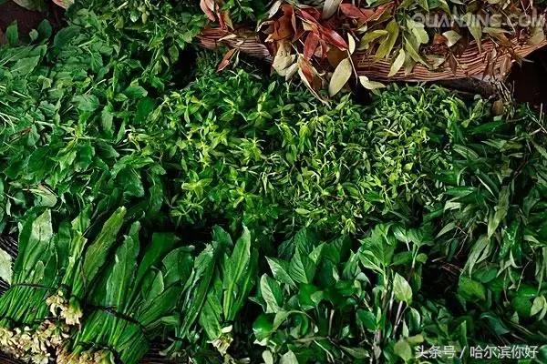 哈尔滨尚志未来5年规划,哈尔滨尚志最新规划