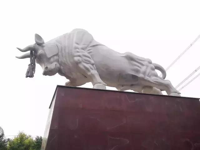 香河一日游看荷花,周边自驾游荷花