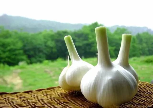 重庆小面的做法教程新手零基础学,你知道重庆小面有多少种调料