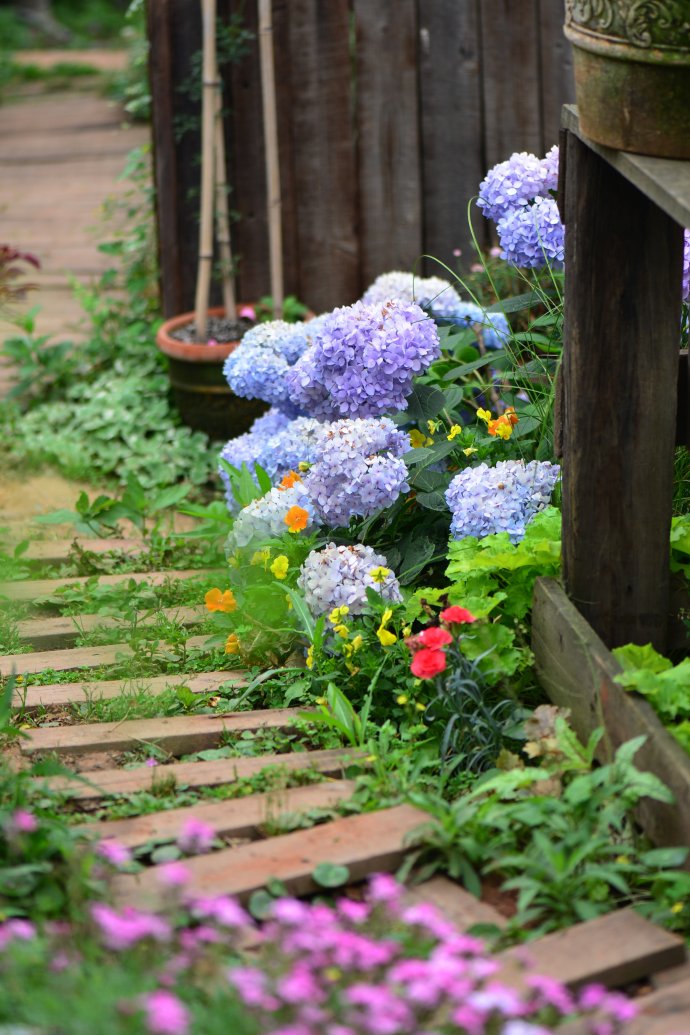 成都玛莉亚色彩花园,成都玛莉亚色彩花园电话