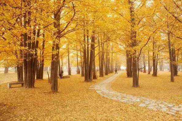 成都住宅使用说明书,成都市住宅使用说明书