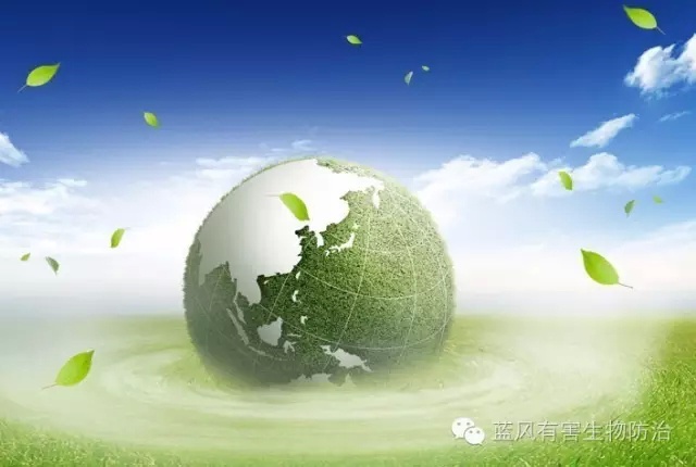 蚊子苍蝇老鼠怎么消灭,蚊子苍蝇老鼠蟑螂会传播哪些疾病