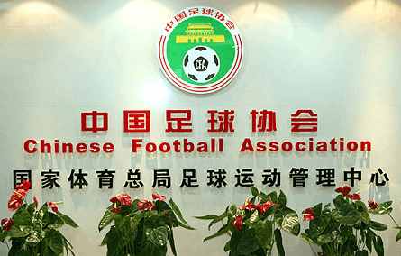 球员骂裁判足球原声,球员怒怼裁判场面