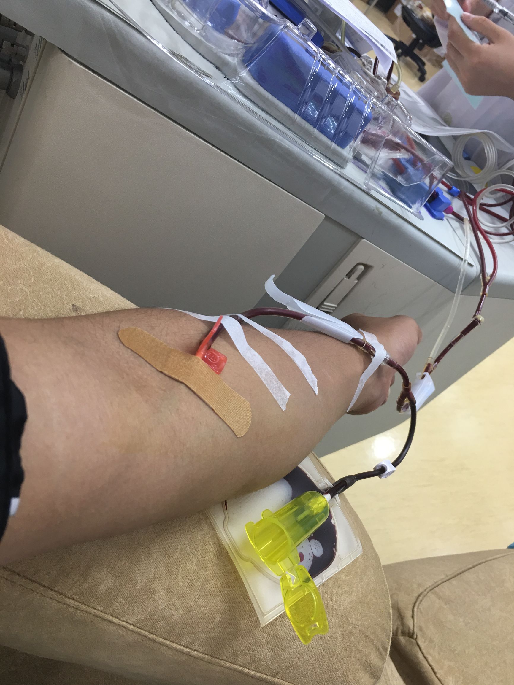 无偿献血真的可怕吗,北京市无偿献血政策