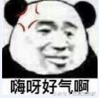 狗宝刚来家里的时候猫咪很生气，没想到后来它们居然合伙偷食吃！