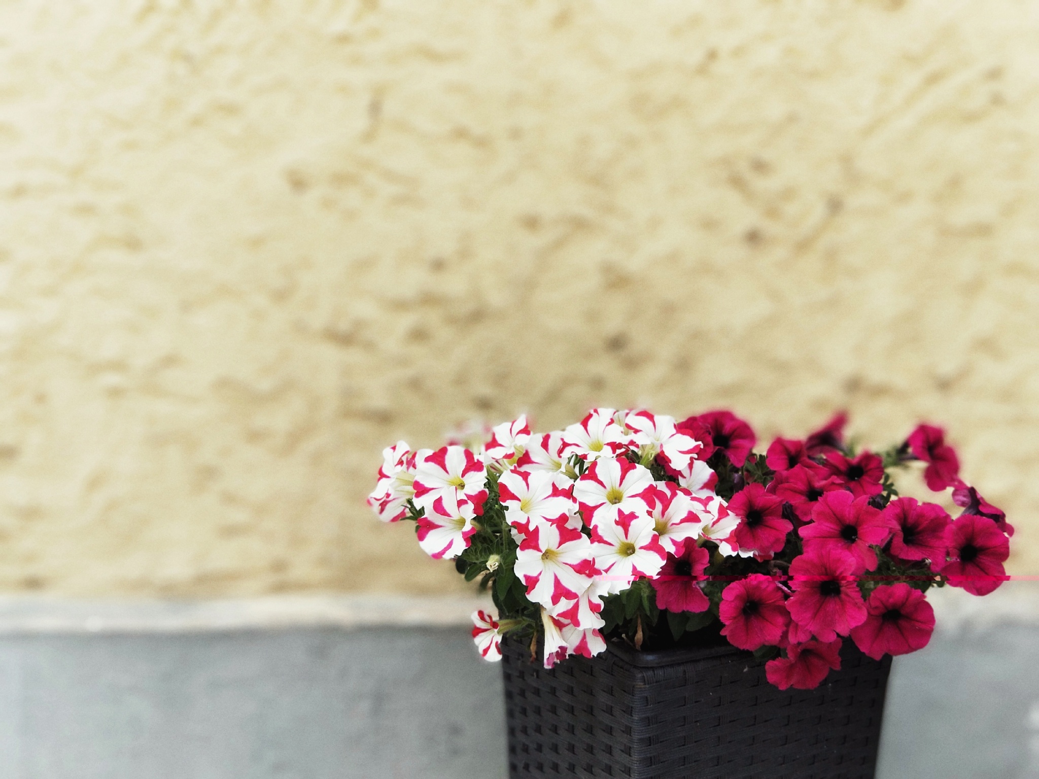旅游如何让自己的气质更好,手机怎样拍出商品高级感视频