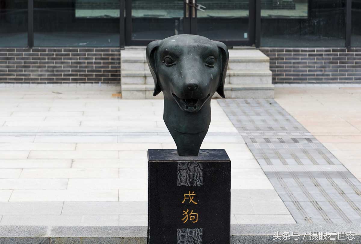 12生肖各自生肖的命运如何,2022年1月20日属相运势与特吉生肖