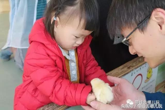 冲绳亲子游最强攻略,冲绳带娃旅游攻略