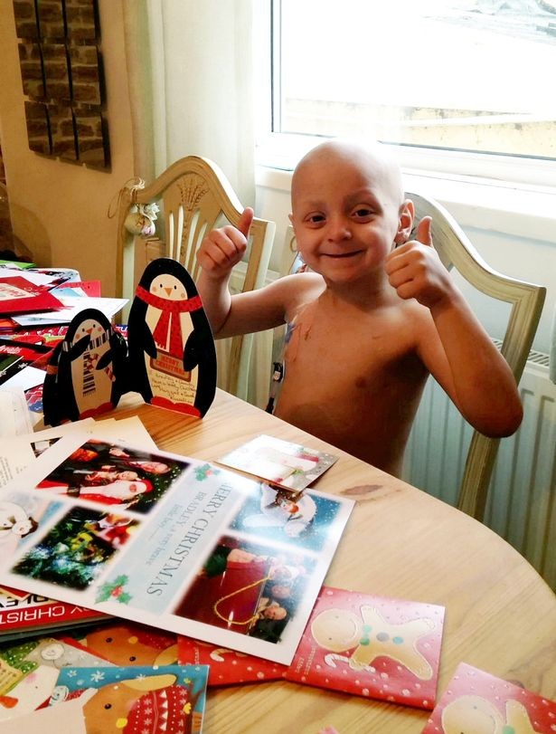 小布拉德利最后的话,小布拉德利视频