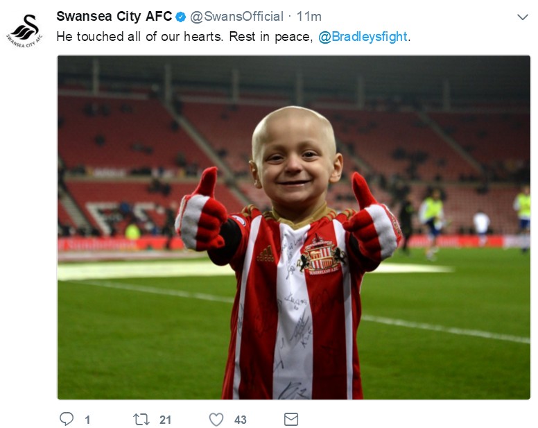 小布拉德利最后的话,小布拉德利视频