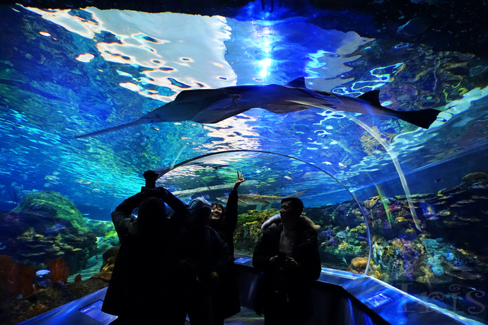 冬日里的安大略，冰雪奇趣一起嗨翻天