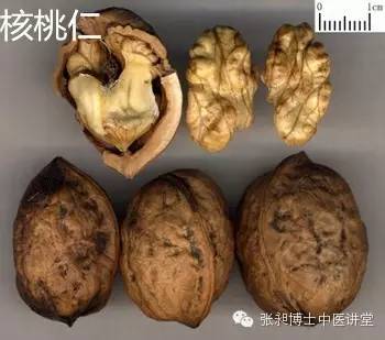 肾虚脾虚湿气重能吃核桃仁吗,核桃仁治咳喘