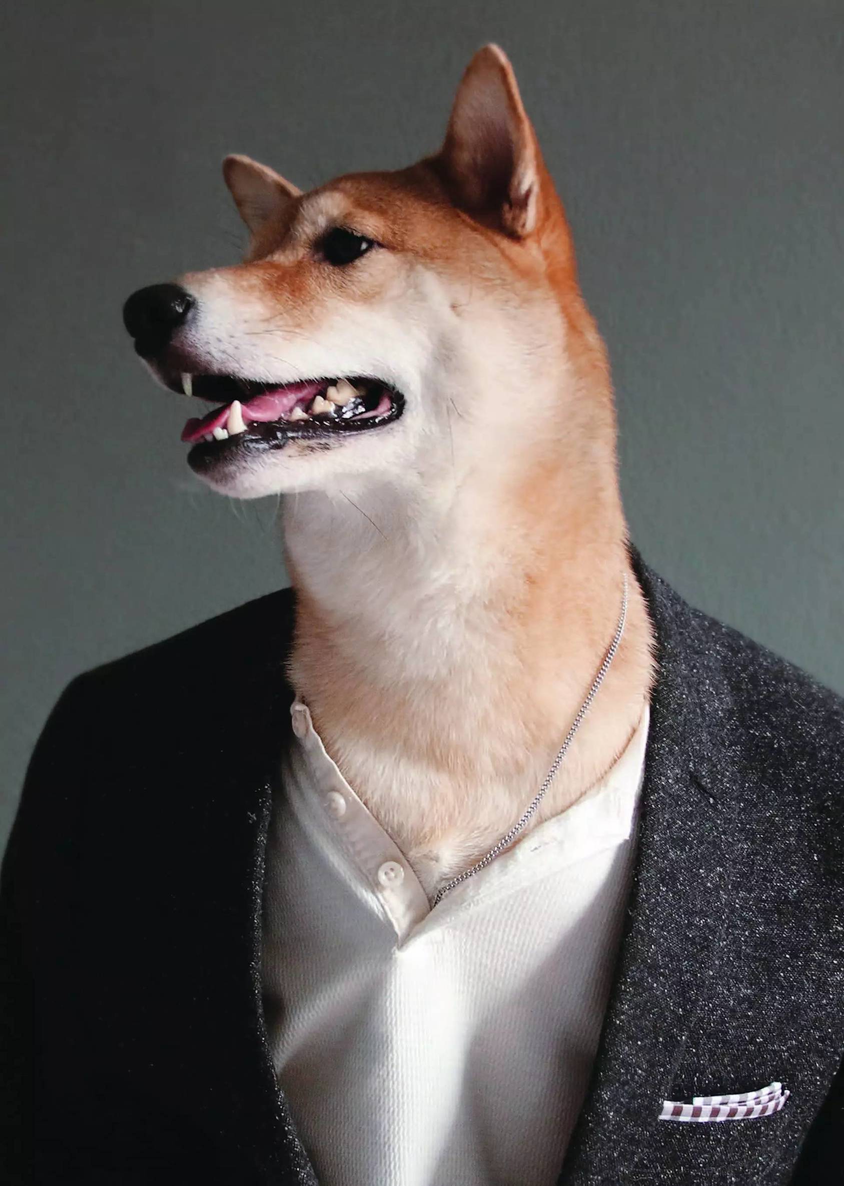 男春季穿搭技巧,春季男士穿搭禁欲奶狗风