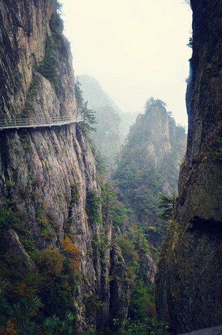 老君山仙境高清图片,老君山似天上宫阙