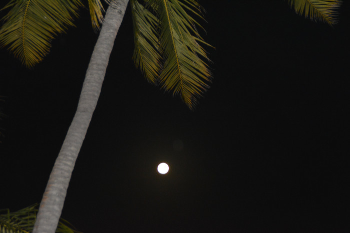 马尔代夫哈库拉岛好不好,马尔代夫哈库拉岛6日自助游