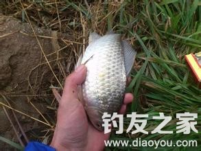 传统钓起浮怎么钓,传统钓七星漂怎么钓浮