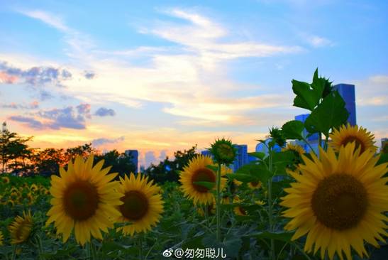 周末一日游详细攻略 (周末带你去旅行攻略)