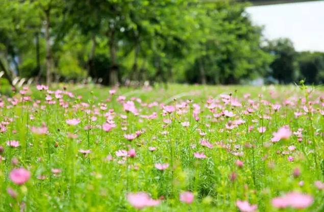 周末一日游详细攻略 (周末带你去旅行攻略)
