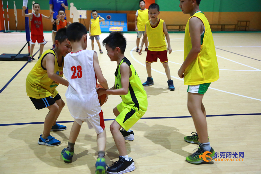 广东东莞篮球青训一年多少钱,东莞新世纪篮球青训队
