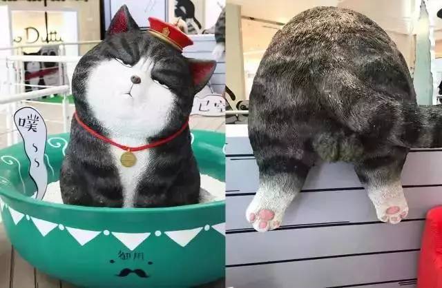 盘点十大网红萌宠,盘点全网6只网红萌宠