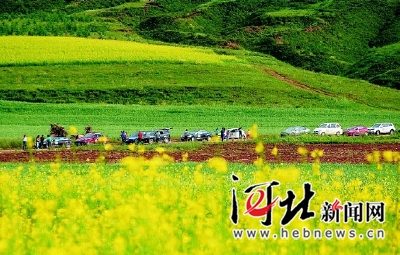 在燕赵大地续写绿色传奇