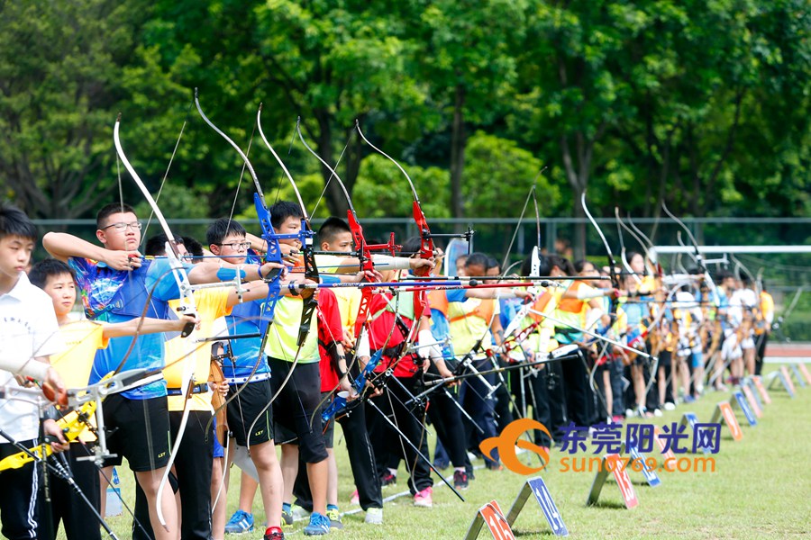 东莞第九届运动会,第九届东莞市市运会
