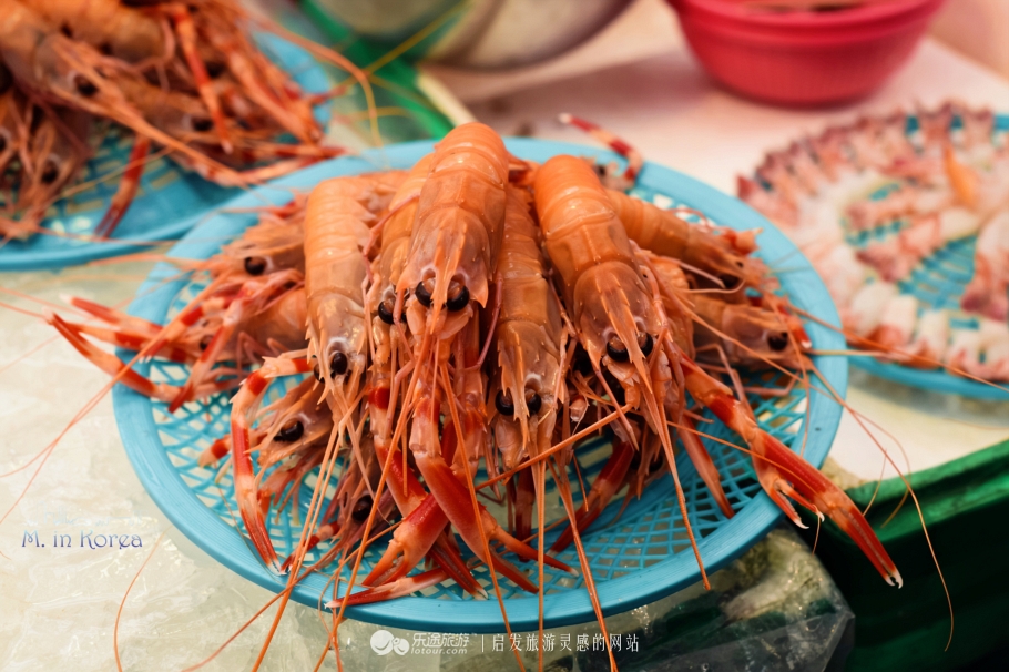 跟着RM探寻济州东门市场