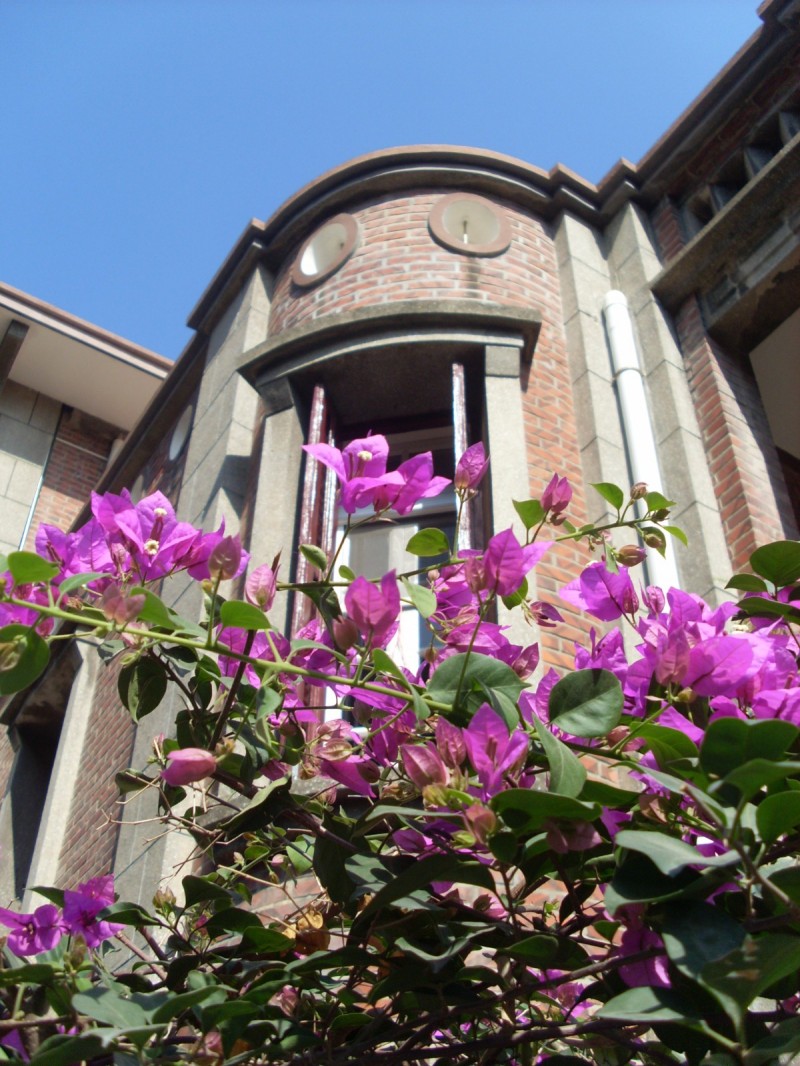 hèhè带你玩|中国的52处世界遗产你去过哪些?刚评上的这个地方,我去了四次!