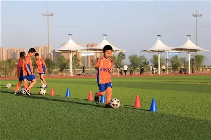 咸阳美丽的渭河湿地公园,咸阳生态湿地公园