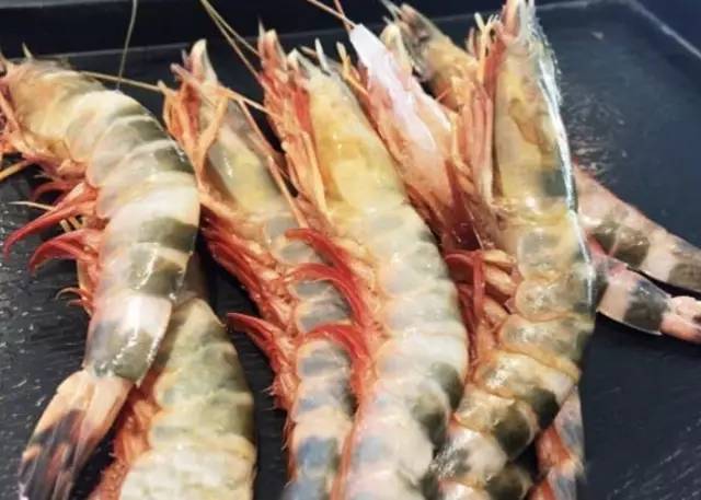 哈尔滨素食自助餐厅十三元一位,哈尔滨值得去的自助餐厅