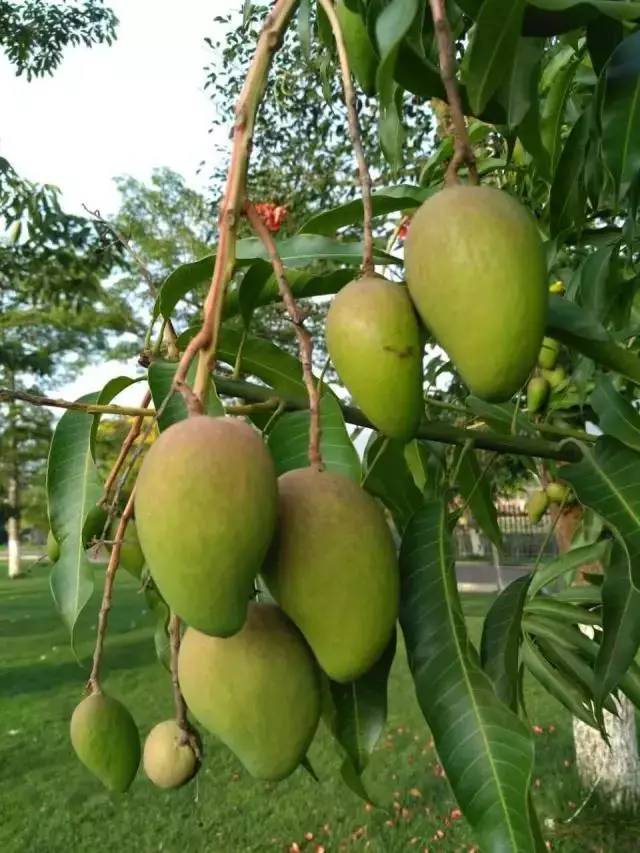 富源县万达广场,富源有万达广场吗