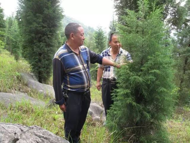 寻找优秀老支书|敢向贫困“亮剑”的村支书——毕节市黔西县素朴镇古胜村*党**支部书记冯长书素描