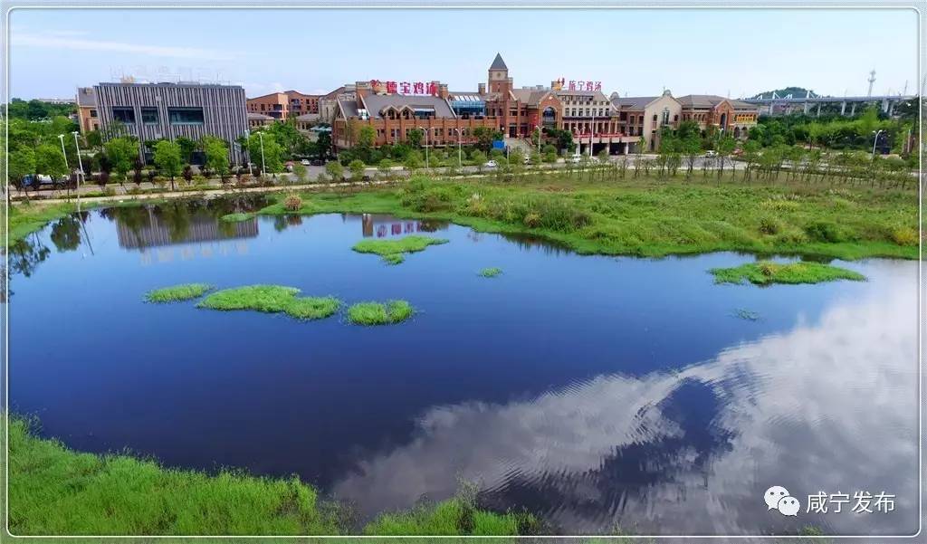 「聚焦」“一带一路”上升起一颗璀灿新星！咸宁的这个小镇将来不得了！